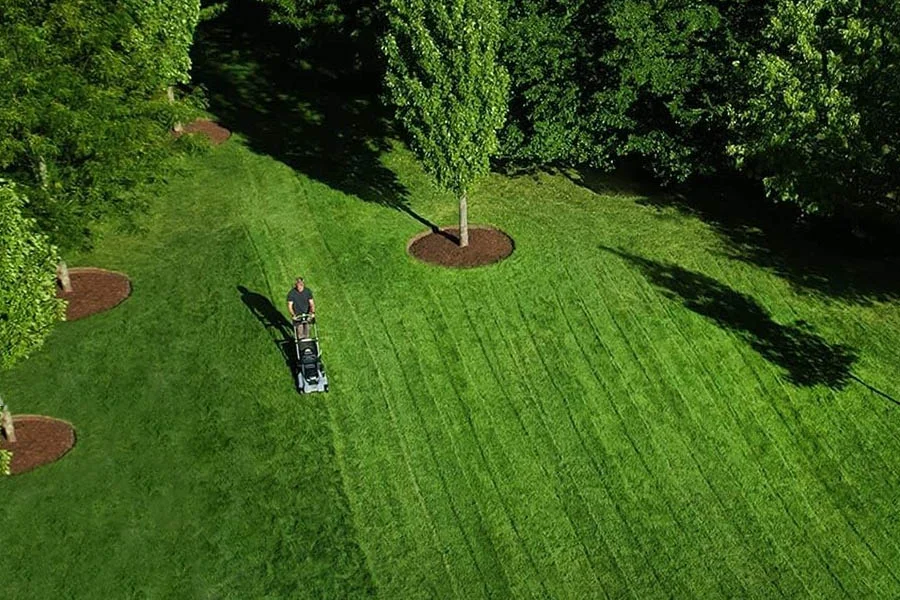 best electric cordless mowers